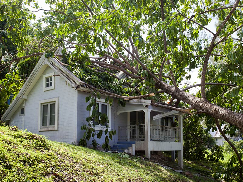 tree-falling-on-a-house-after-storm-van-buren-charter-township-mi
